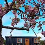 Carlingford Glamping Hut * Rathcor Lower