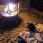 Carlingford Glamping Hut *