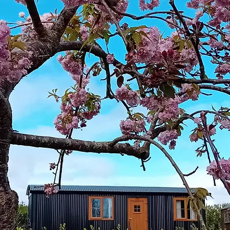 Carlingford Glamping Hut * Rathcor Lower