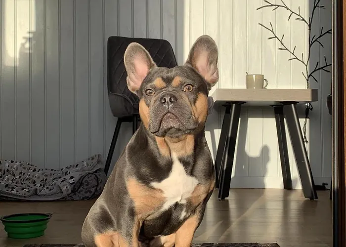 Carlingford Glamping Hut Apartman Rathcor Lower