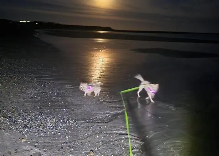 Apartman Carlingford Glamping Hut Rathcor Lower